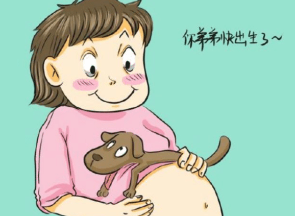 1558162573820760.png b336385458143ad33535b27a24339b4d.png