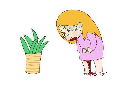 1567416894534383.jpg 5b3e-fyrwsqi3359672.jpg